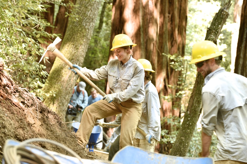 River Trail, Garden Club of America Grove, Humboldt Redwoods State Park