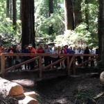 Humboldt Redwoods State Park