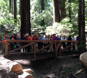 Humboldt Redwoods State Park