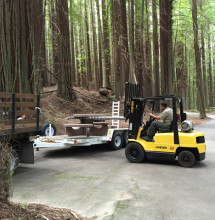 Five new picnic tables were installed in the day-use area.