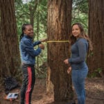 Students in the League’s Redwoods and Climate Change High School Program measure a redwood.