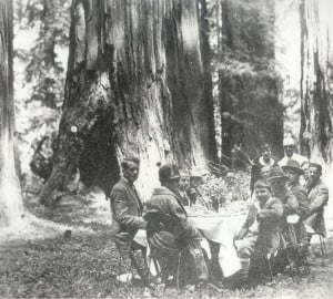 John D. Rockefeller Jr. and Newton Drury, Secretary of Save the Redwoods League, pictured here on the right, enjoy California’s redwoods in 1926. Both men did a great deal to protect redwood forests.