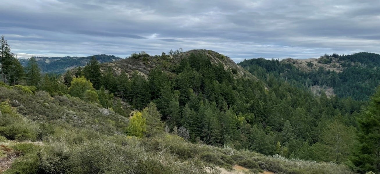 Rocky Ridge, a redwood studded mountain vista. 