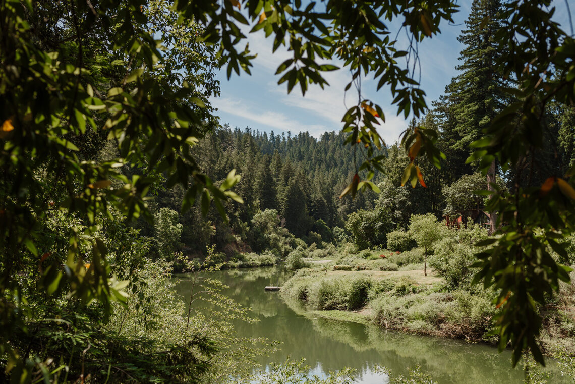 Russian River Redwoods