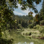This 394-acre coast redwood and Douglas-fir forest has approximately one mile of riverfront along the Russian River near Guerneville, California. Vivian Chen, courtesy of Save the Redwoods League
