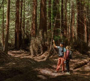 Save the Redwoods League staff on the 394-acre Russian River Redwoods property. Vivian Chen, courtesy of Save the Redwoods League