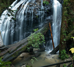 Russian Gulch State Park, by Steven Bratman Flickr CC