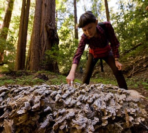 Fungi catch the eye of a hiker in Peters Creek Old-Growth Forest. Photo by Paolo Vescia