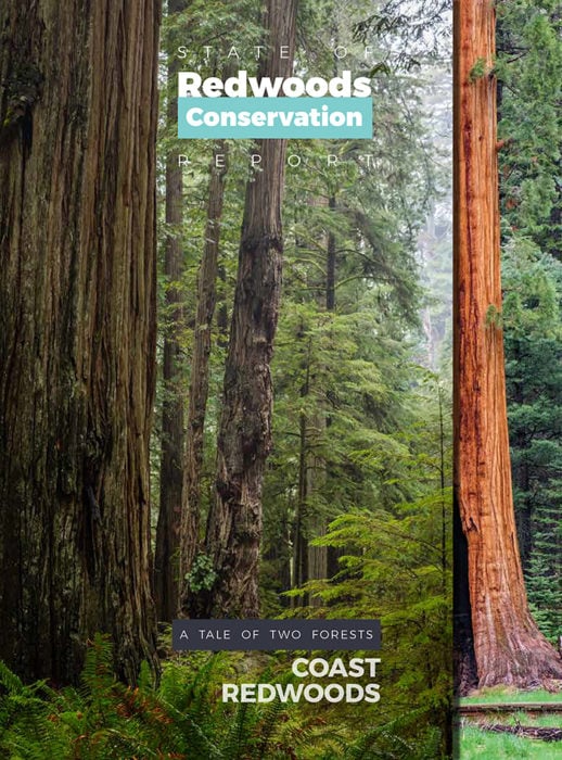 State of Redwoods Conservation Report