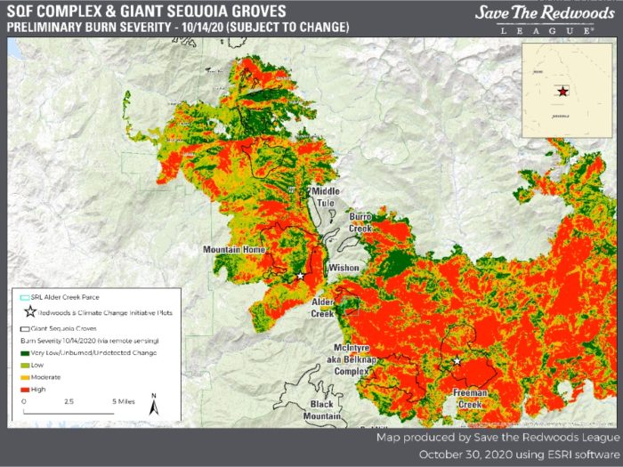 fire severity map