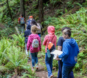 Students walking in the forest