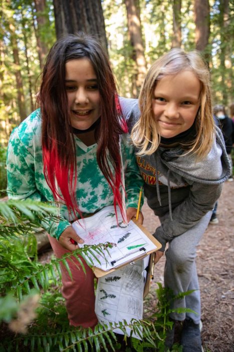 Elementary school students study plants in Humboldt Redwoods State Park. Photo by Max Forster, @maxforsterphotography