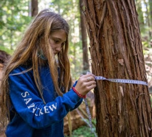 child measuring tree trunk