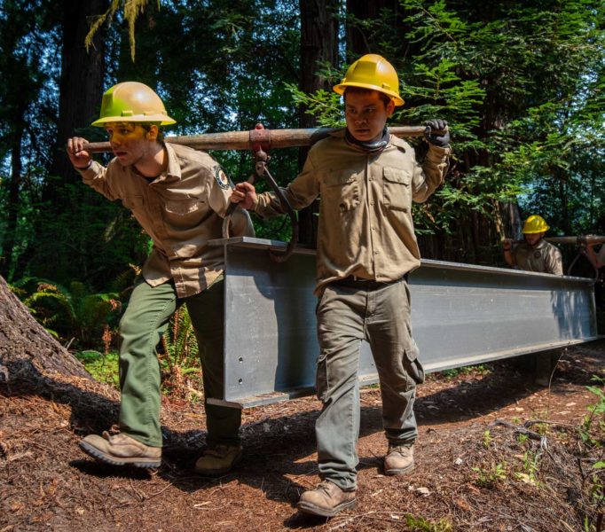 Grove of Titans Trail Reconstruction Project, August 2021. Photo by Max Forster, @maxforsterphotography.
