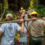 Grove of Titans Trail Reconstruction Project, August 2021. Photo by Max Forster, @maxforsterphotography.