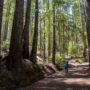 Save the Redwoods League has secured an opportunity to purchase a conservation easement on the 3,862-acre Weger Ranch. The League must raise $1 million in private philanthropy in order to complete the purchase of the $14 million conservation easement and protect the ranch in perpetuity. Photo by Max Forster (@maxforsterphotography) for Save the Redwoods League.