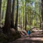 Save the Redwoods League has secured an opportunity to purchase a conservation easement on the 3,862-acre Weger Ranch. The League must raise $1 million in private philanthropy in order to complete the purchase of the $14 million conservation easement and protect the ranch in perpetuity. Photo by Max Forster (@maxforsterphotography) for Save the Redwoods League.