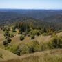 Save the Redwoods League has secured an opportunity to purchase a conservation easement on the 3,862-acre Weger Ranch. Weger Ranch shares a 1.25-mile border with Montgomery Woods State Natural Reserve. Photo by Max Forster (@maxforsterphotography) for Save the Redwoods League.