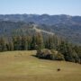 Save the Redwoods League has secured an opportunity to purchase a conservation easement on the 3,862-acre Weger Ranch. Weger Ranch shares a 1.25-mile border with Montgomery Woods State Natural Reserve. Photo by Max Forster (@maxforsterphotography) for Save the Redwoods League.