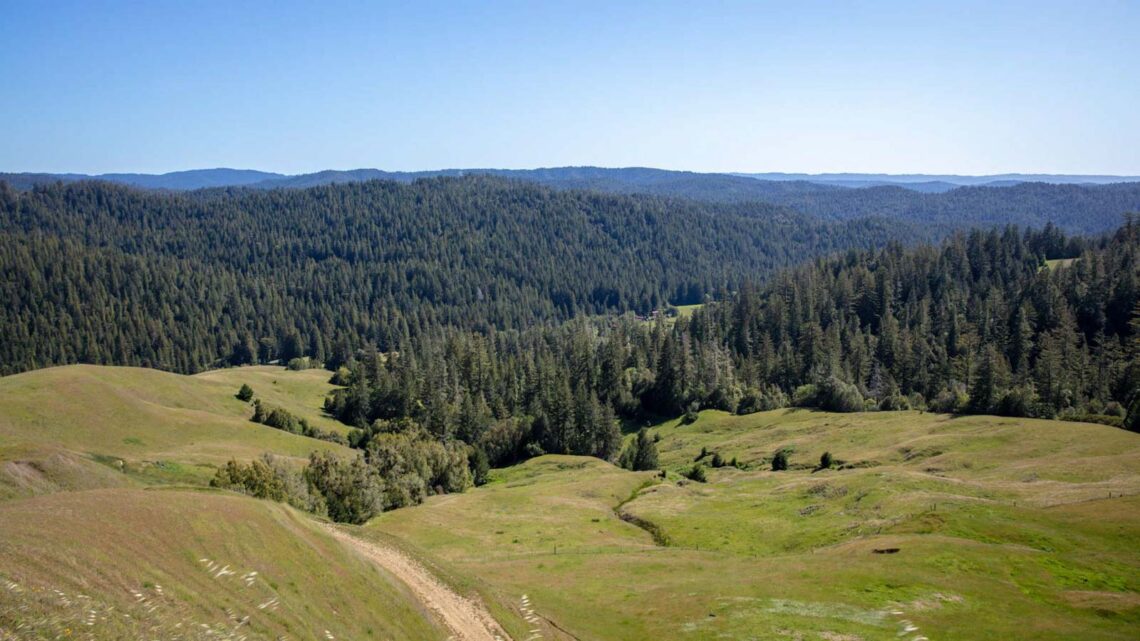 scenic vista of mountains studded with redwoods forests