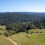 Save the Redwoods League has secured an opportunity to purchase a conservation easement on the 3,862-acre Weger Ranch. Weger Ranch shares a 1.25-mile border with Montgomery Woods State Natural Reserve. Photo by Max Forster (@maxforsterphotography) for Save the Redwoods League.