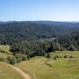 Save the Redwoods League has secured an opportunity to purchase a conservation easement on the 3,862-acre Weger Ranch. Weger Ranch shares a 1.25-mile border with Montgomery Woods State Natural Reserve. Photo by Max Forster (@maxforsterphotography) for Save the Redwoods League.