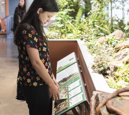 Visitor enjoying the California Academy of Sciences’ <em>Giants of Land and Sea</em> exhibit. Photo by Alisha Laborica