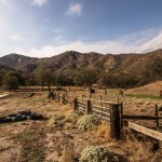 Horses graze on picturesque Craig Ranch.