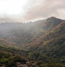 Salt Creek Road offers views of the rugged landscape on the way to Case Mountain.