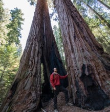 Harrison Friendman, BLM Outdoor Recreation Planner, checks out the giant sequoias on Case Mountain.