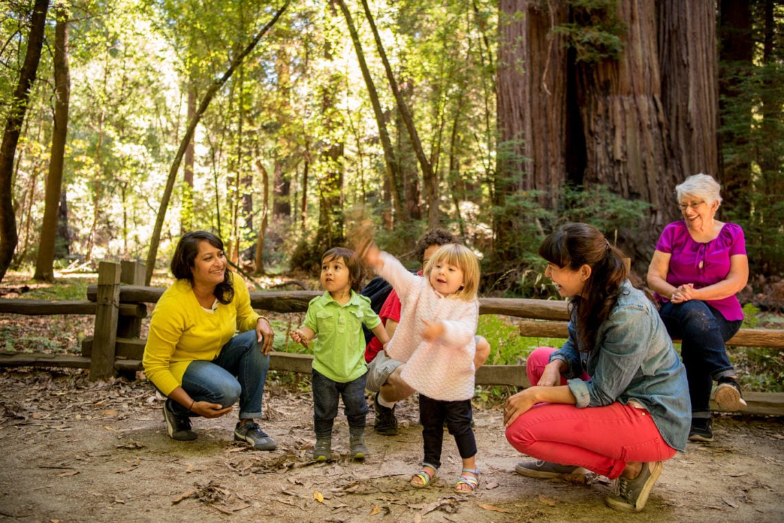 Families with children on a redwood trail