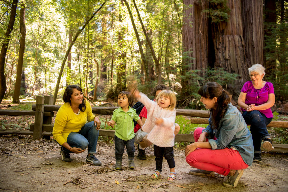 Families with children on a redwood trail