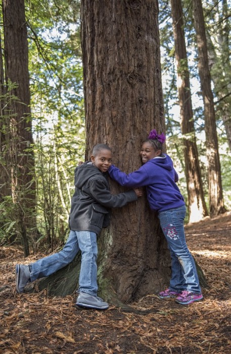 Two students hugging a redwood.