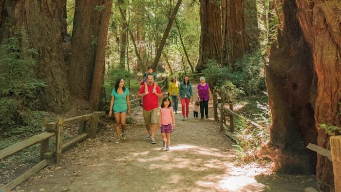 Protect Redwoods Legacy - Support CA State Parks