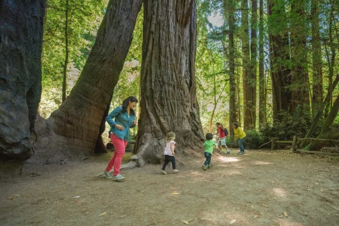 A family with young children hikes past tall redwood trees