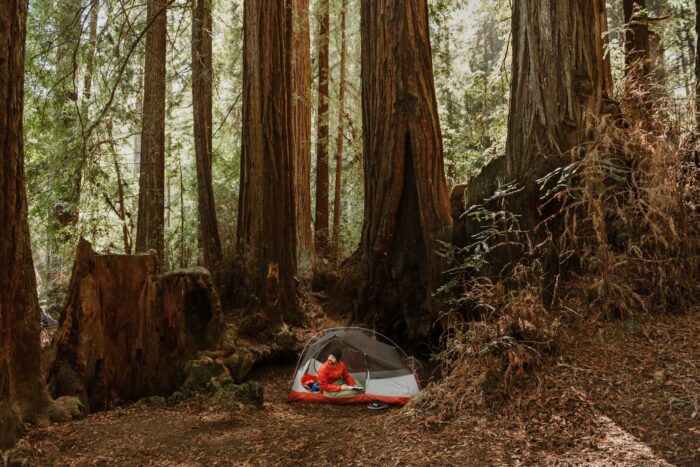 A man in a red jacket sits inside a one-person tent beneath the redwoods
