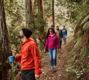 hikers on a redwood trail
