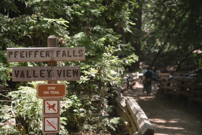 Signage alongside a forested trail. 