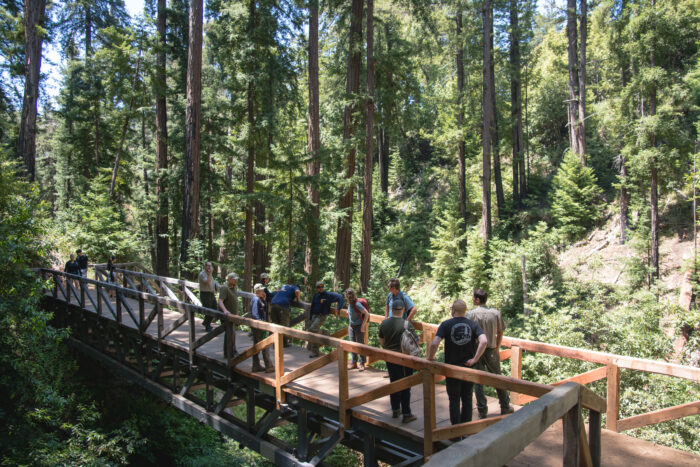 14 people standing on the finished bridge