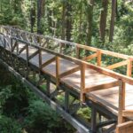 pedestrian foot bridge
