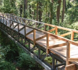 pedestrian foot bridge
