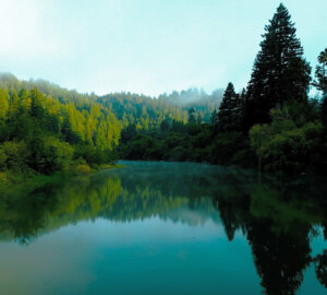 Russian River Redwoods features a mile of scenic riverfront near Guerneville.