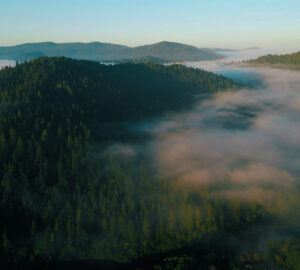 Russian River Redwoods features a mile of scenic riverfront near Guerneville.