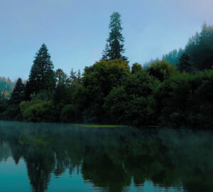 Morning mist swirls at the edge of the Russian River Redwoods property. Photo by Smith Robinson Multimedia