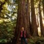 Estelle Clifton, registered professional forester and botanist with North Coast Resource Management (NCRM) stares up into the canopy as she stands in front of a coast redwood tree on the Lost Coast Redwoods property.  Photo by Max Whittaker, courtesy of Save the Redwoods League.