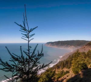 Lost Coast Redwoods could create an extension of the remote Lost Coast Trail and the iconic California Coastal Trail.  Photo by Max Whittaker, courtesy of Save the Redwoods League.