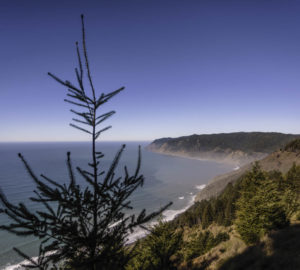 Lost Coast Redwoods could create an extension of the remote Lost Coast Trail and the iconic California Coastal Trail.  Photo by Max Whittaker, courtesy of Save the Redwoods League.