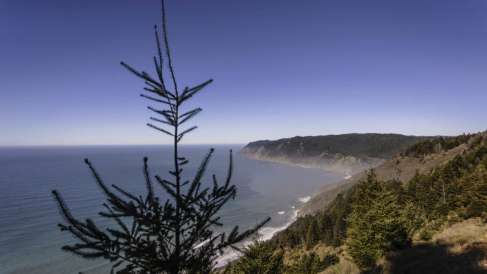 Coast line landscape