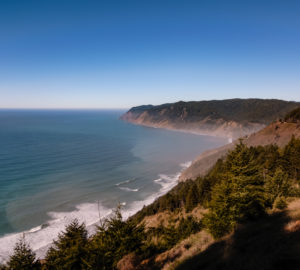 landscape vista of the rugged coastline, covered in a thick blanket of redwood trees.