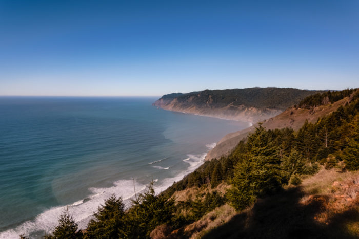 landscape vista of the rugged coastline, covered in a thick blanket of redwood trees.